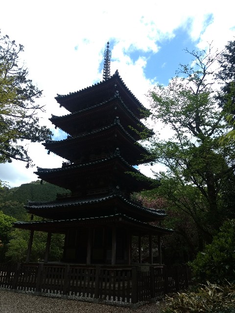 f:id:developingexplorer:20250202155906j:image