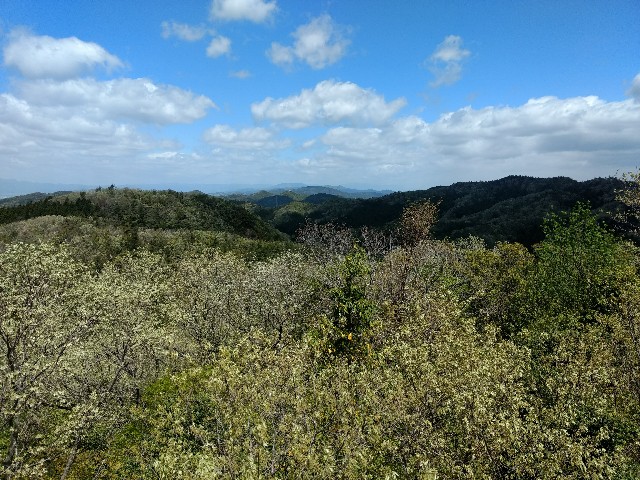 f:id:developingexplorer:20250202172054j:image
