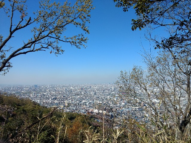 f:id:developingexplorer:20250208151141j:image