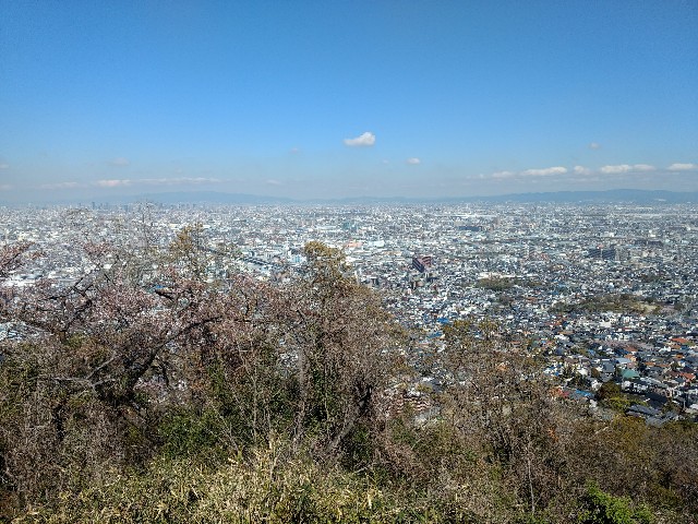 f:id:developingexplorer:20250208151208j:image