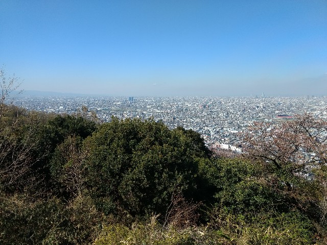 f:id:developingexplorer:20250208151227j:image