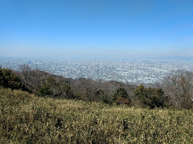 f:id:developingexplorer:20250208152754j:image