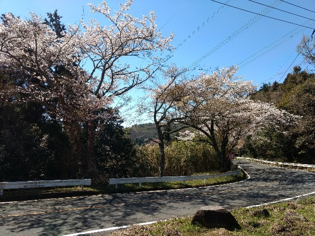 f:id:developingexplorer:20250208153027j:image