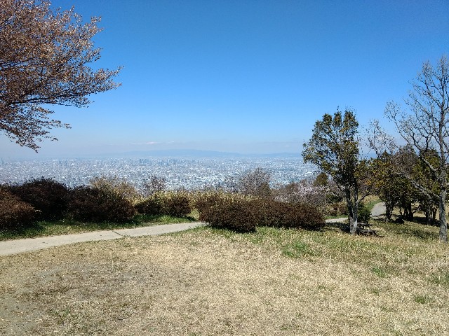 f:id:developingexplorer:20250208175944j:image