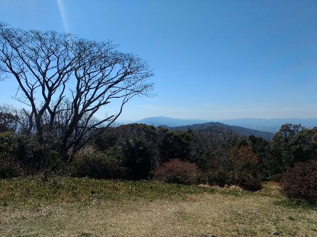 f:id:developingexplorer:20250208180028j:image