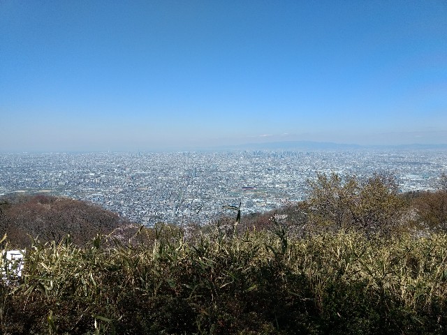 f:id:developingexplorer:20250208180048j:image