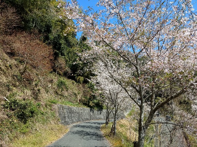 f:id:developingexplorer:20250208180916j:image