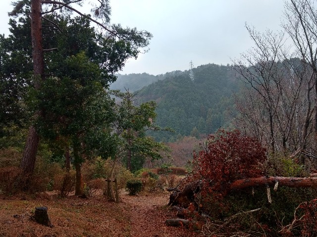 f:id:developingexplorer:20250211150451j:image