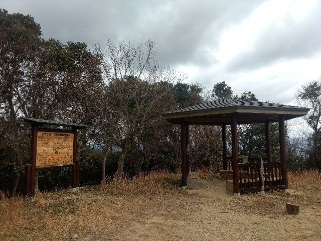 f:id:developingexplorer:20250222203208j:image
