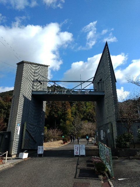 f:id:developingexplorer:20250222211726j:image