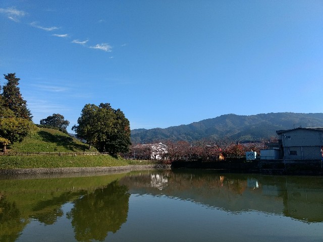 f:id:developingexplorer:20250301152727j:image