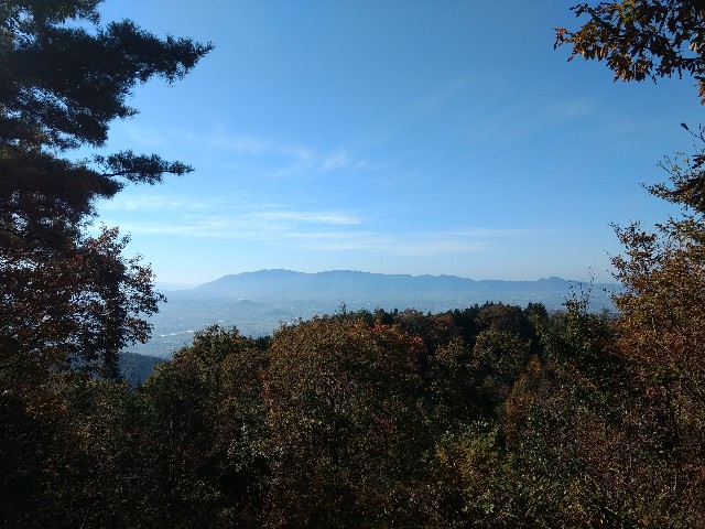 f:id:developingexplorer:20250301160053j:image