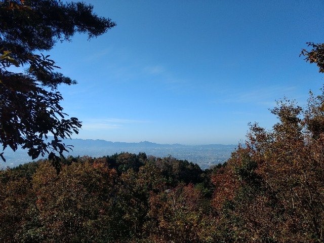 f:id:developingexplorer:20250301160130j:image