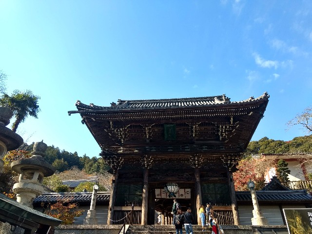 f:id:developingexplorer:20250301203630j:image