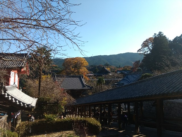 f:id:developingexplorer:20250301203714j:image
