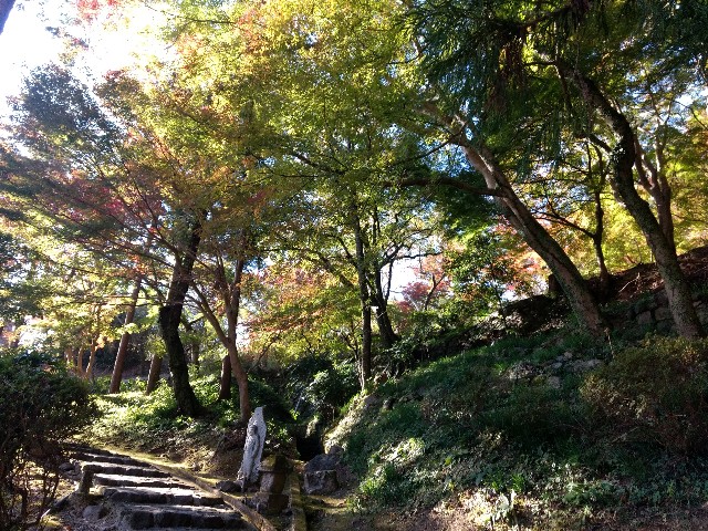 f:id:developingexplorer:20250301203733j:image