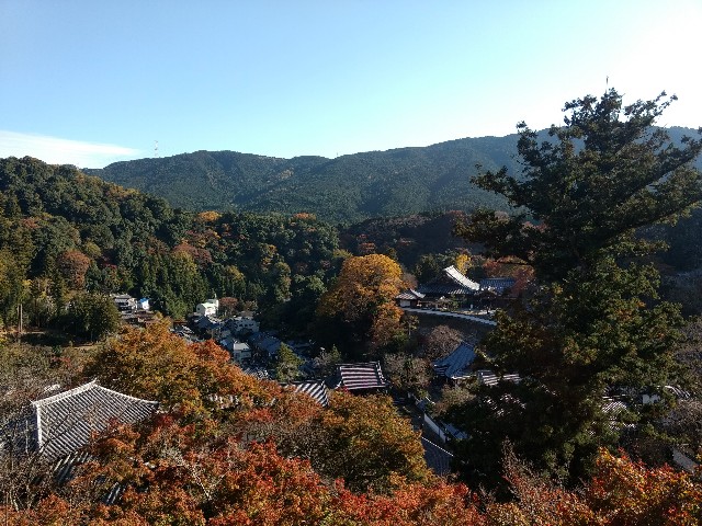 f:id:developingexplorer:20250301203945j:image