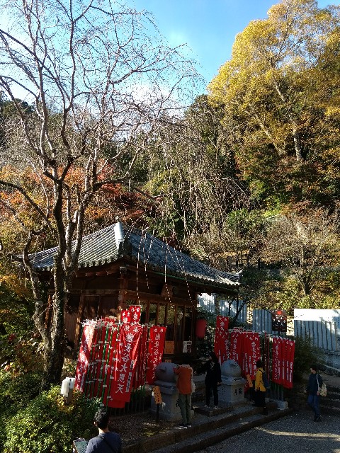 f:id:developingexplorer:20250301204012j:image