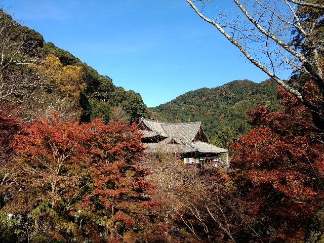 f:id:developingexplorer:20250301204159j:image