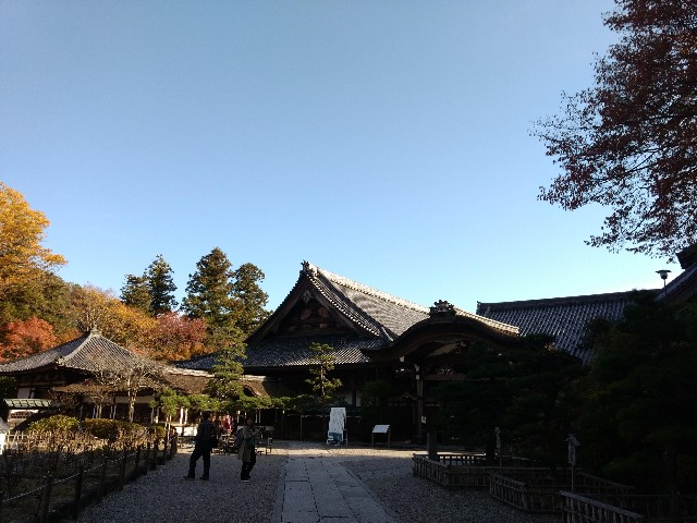 f:id:developingexplorer:20250301204242j:image