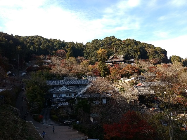 f:id:developingexplorer:20250301204313j:image