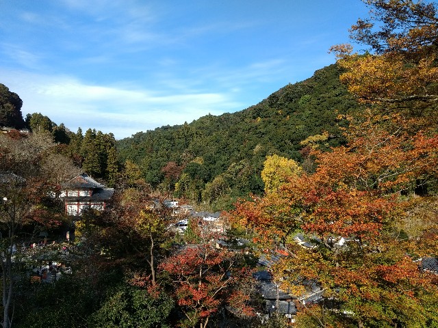 f:id:developingexplorer:20250301204332j:image