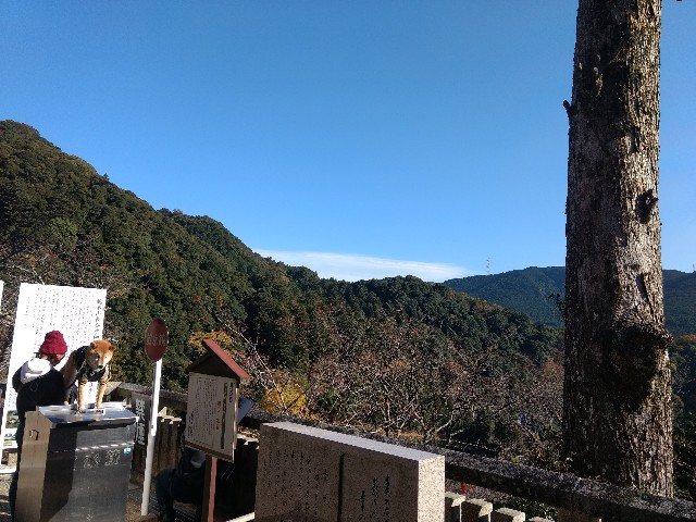 f:id:developingexplorer:20250302085638j:image