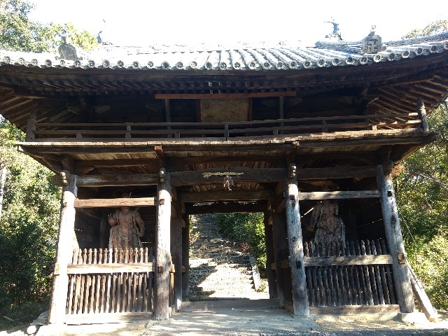 f:id:developingexplorer:20250309073539j:image