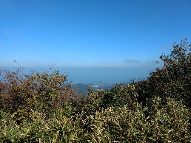 f:id:developingexplorer:20250309080725j:image