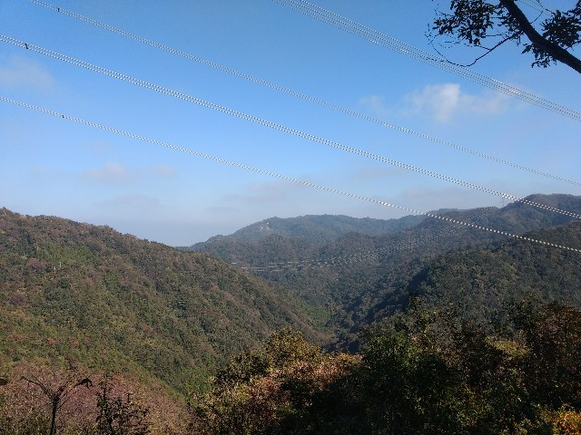 f:id:developingexplorer:20250309123108j:image