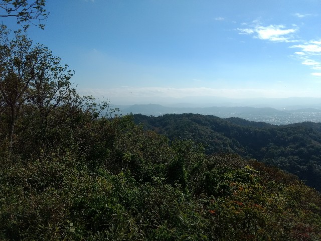 f:id:developingexplorer:20250309124955j:image