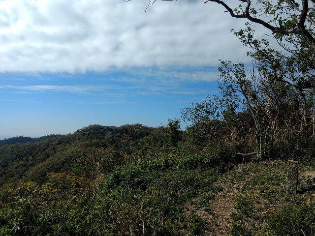 f:id:developingexplorer:20250309125015j:image