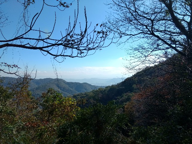 f:id:developingexplorer:20250309125312j:image