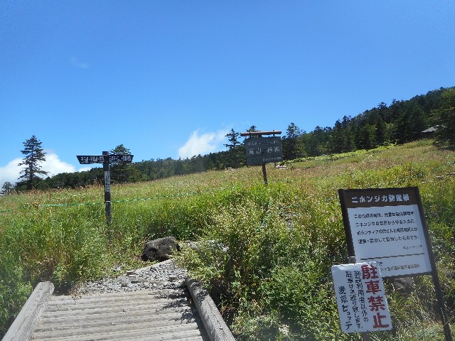 f:id:developingexplorer:20250315150338j:image
