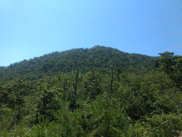f:id:developingexplorer:20250329151216j:image