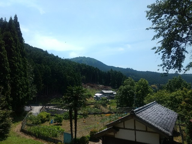 f:id:developingexplorer:20250405150700j:image