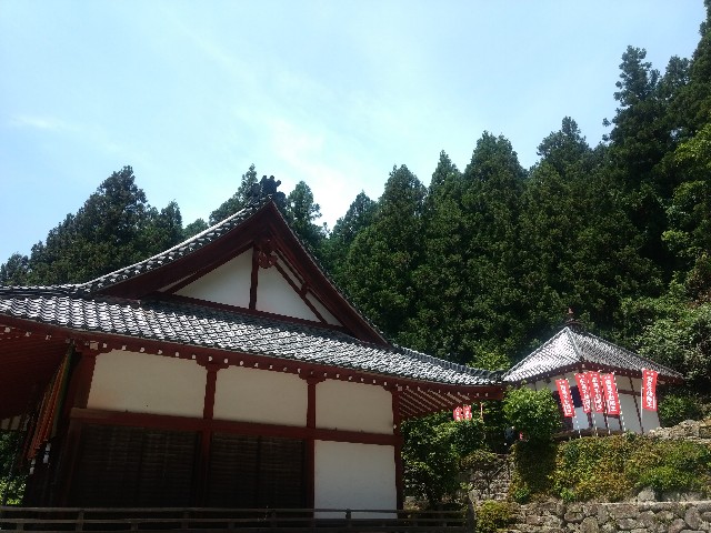 f:id:developingexplorer:20250405150731j:image