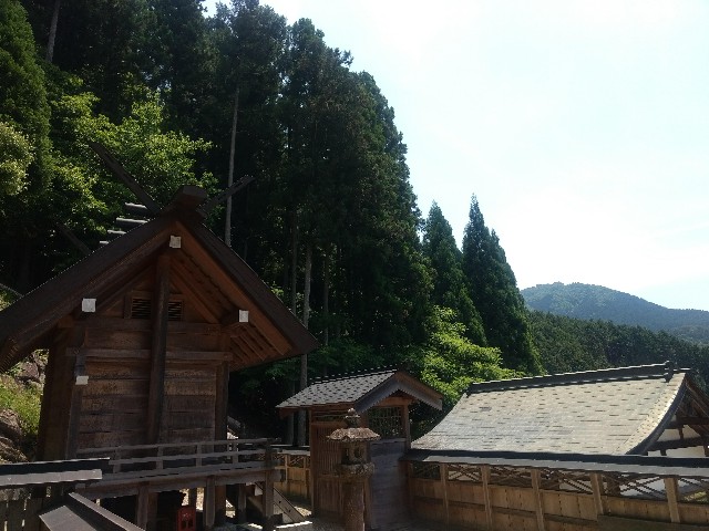 f:id:developingexplorer:20250405151136j:image