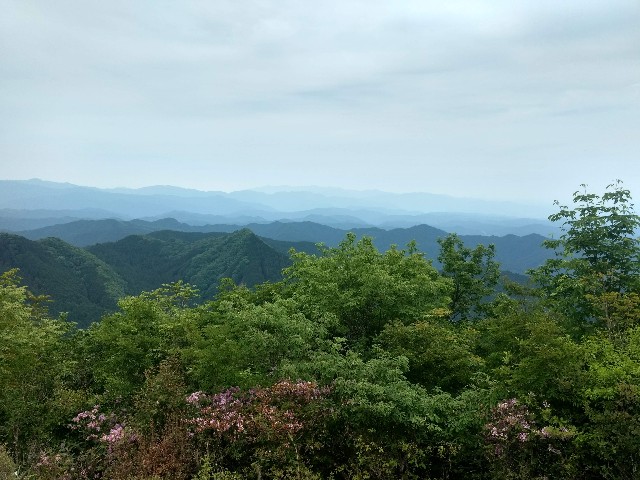 f:id:developingexplorer:20250405154839j:image