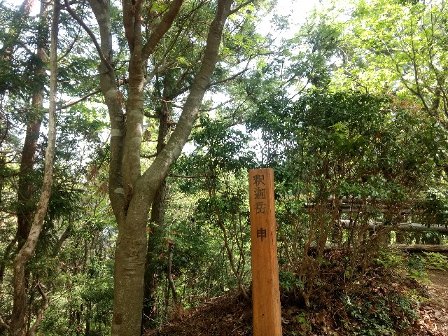 f:id:developingexplorer:20250413152642j:image