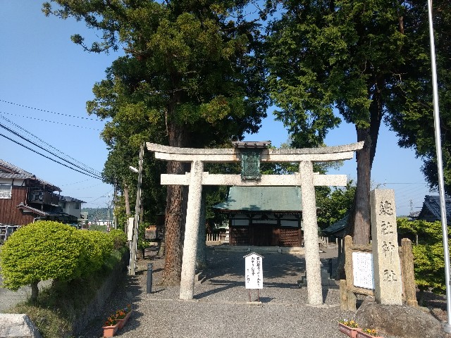 f:id:developingexplorer:20250426174547j:image
