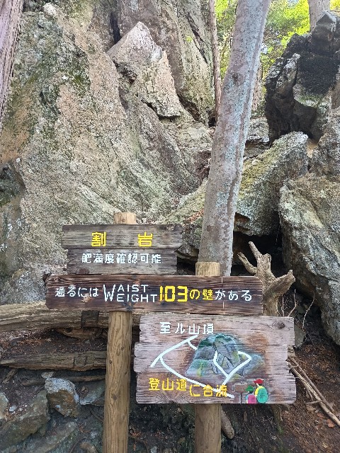 f:id:developingexplorer:20250429153334j:image