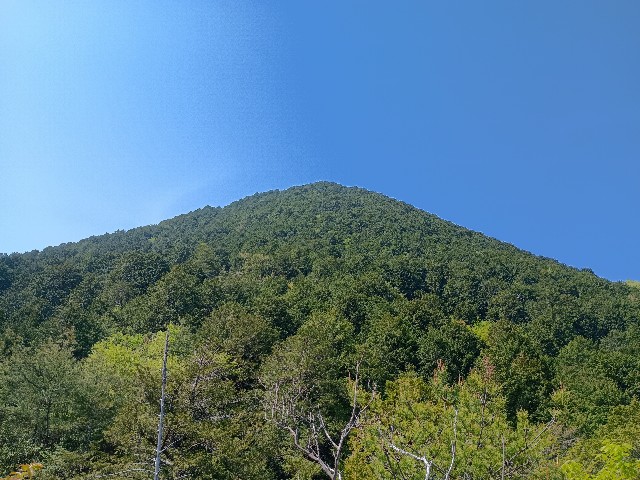 f:id:developingexplorer:20250429160233j:image