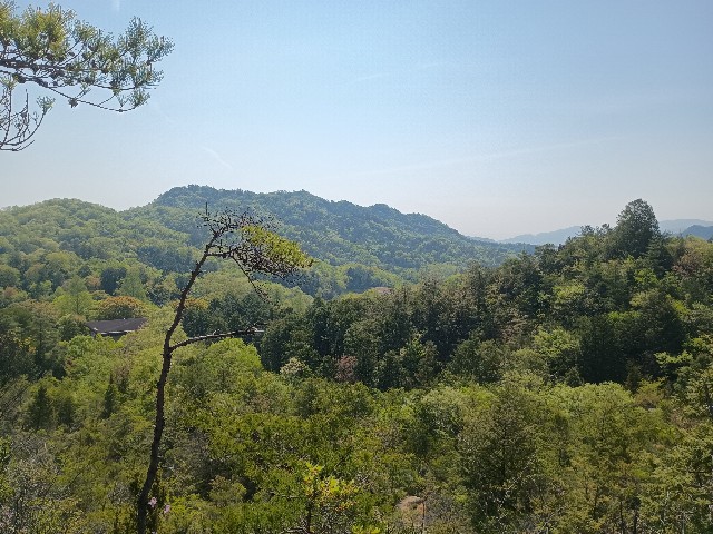 f:id:developingexplorer:20250429160408j:image