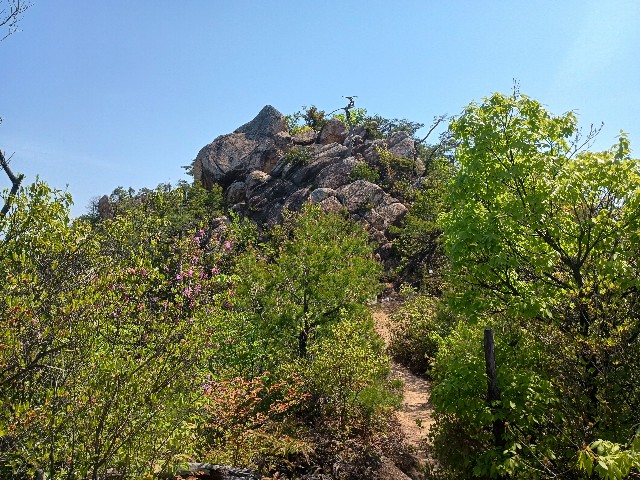 f:id:developingexplorer:20250429161206j:image