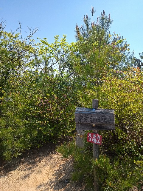 f:id:developingexplorer:20250429161213j:image