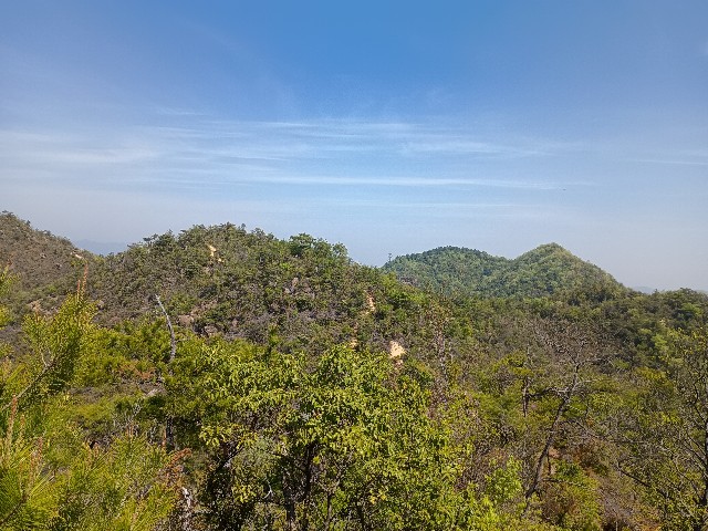 f:id:developingexplorer:20250429161221j:image
