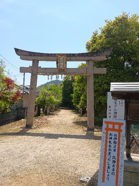 f:id:developingexplorer:20250429183254j:image