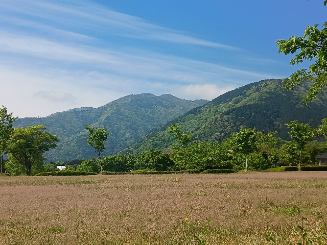 f:id:developingexplorer:20250506080712j:image f:id:developingexplorer:20250506080712j:image