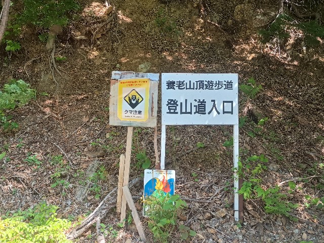 f:id:developingexplorer:20250506082553j:image f:id:developingexplorer:20250506082553j:image